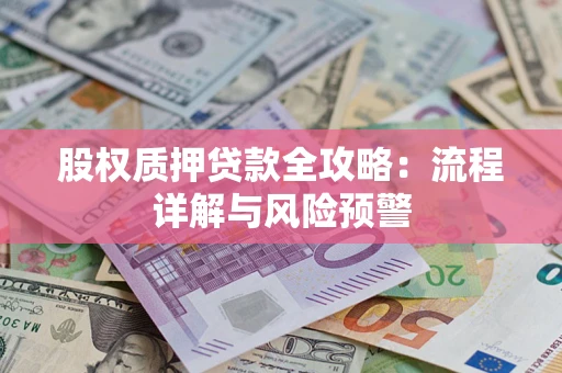 武汉股权质押贷款全攻略：流程详解与风险预警