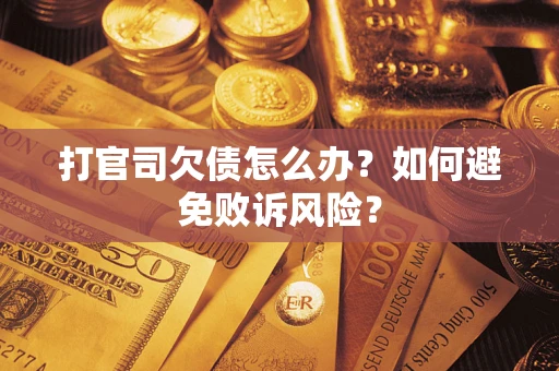 武汉打官司欠债怎么办？如何避免败诉风险？