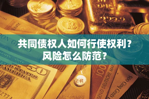 武汉共同债权人如何行使权利？风险怎么防范？