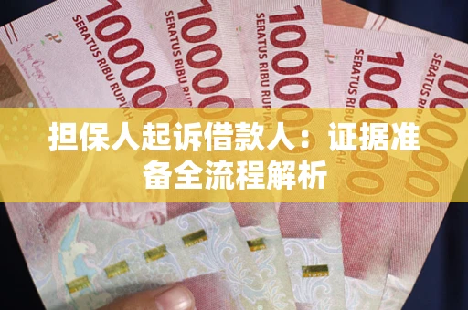 武汉担保人起诉借款人：证据准备全流程解析