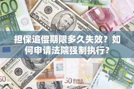 武汉担保追偿期限多久失效？如何申请法院强制执行？