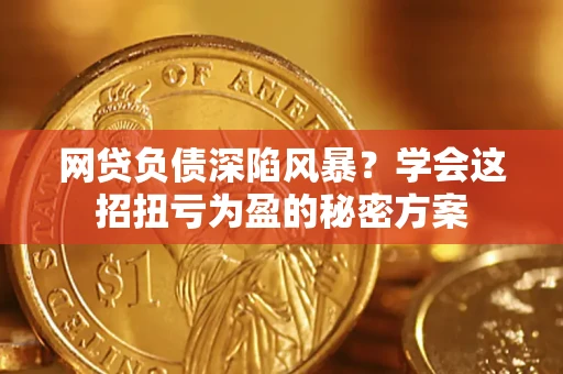 武汉网贷负债深陷风暴？学会这招扭亏为盈的秘密方案